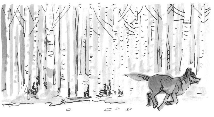 Иллюстрация к книге — Лось на диване, верветка на печи [i_074.jpg]