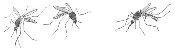 Иллюстрация к книге — Лось на диване, верветка на печи [i_077.jpg]