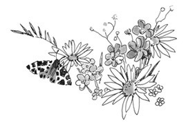 Иллюстрация к книге — Лось на диване, верветка на печи [i_080.jpg]