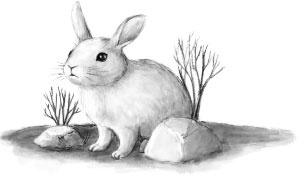 Иллюстрация к книге — Тот, кто приходит из зеркала [i_002.jpg]