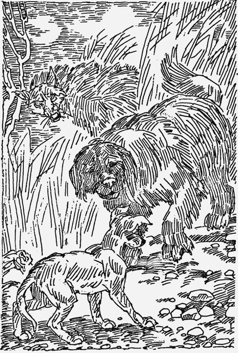 Иллюстрация к книге — Прерванный путь [i_004.jpg]