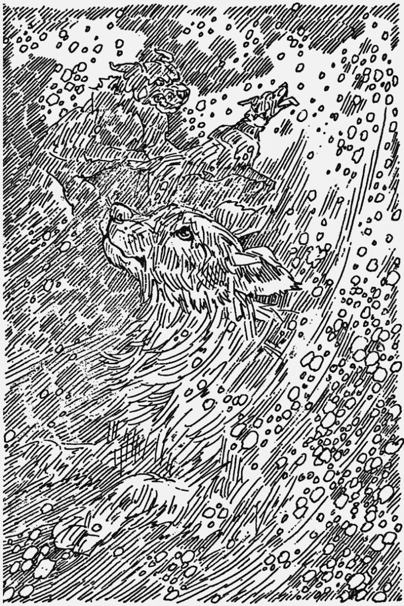 Иллюстрация к книге — Прерванный путь [i_005.jpg]