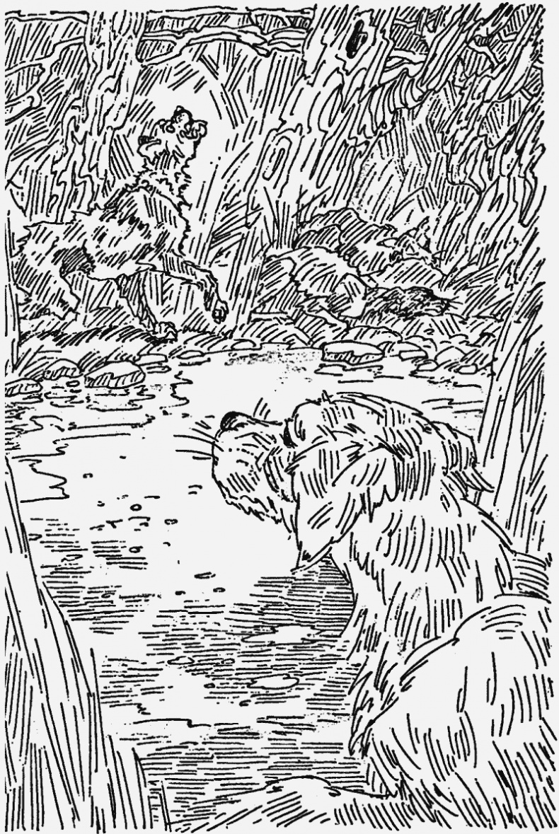 Иллюстрация к книге — Прерванный путь [i_006.jpg]