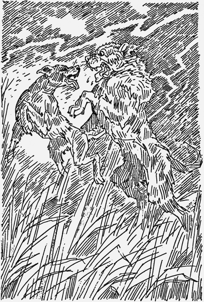 Иллюстрация к книге — Прерванный путь [i_007.jpg]