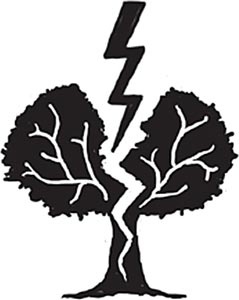 Иллюстрация к книге — Арчи Грин и заклятие ворона [i_002.jpg]