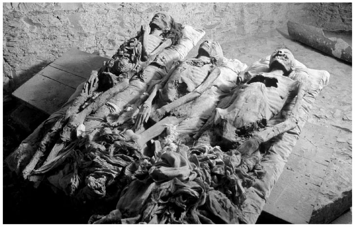 Иллюстрация к книге — В поисках гробниц Древнего Египта [i_040.jpg]