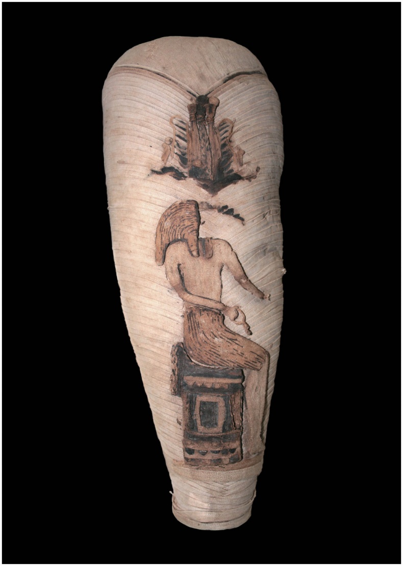 Иллюстрация к книге — В поисках гробниц Древнего Египта [i_082.jpg]