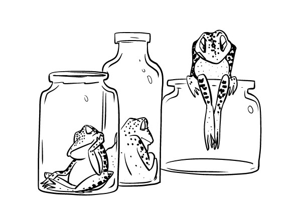 Иллюстрация к книге — Не надо пофигизма [i_044.jpg]