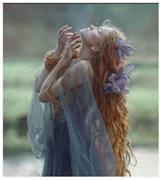 Иллюстрация к книге — Холмы Фэйри: Дэстини [img5f6b.jpg]