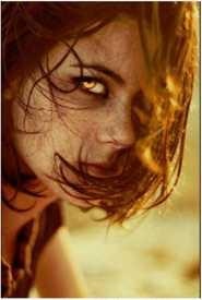 Иллюстрация к книге — Холмы Фэйри: Дэстини [imgdb1e.jpg]