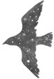 Иллюстрация к книге — Соль и дым [i_013.jpg]