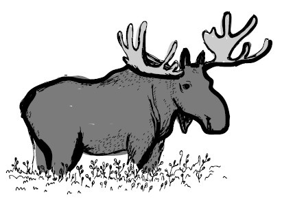 Иллюстрация к книге — Найден, жив! Записки о поисковом отряде «Лиза Алерт» [i_009.jpg]