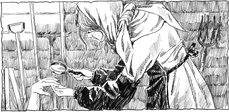 Иллюстрация к книге — Мир и война [i_020.jpg]