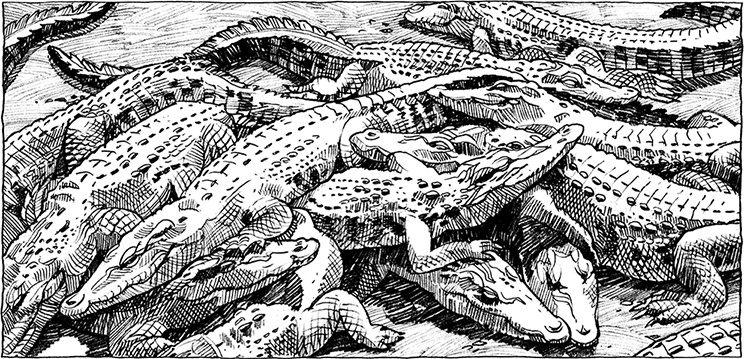 Иллюстрация к книге — Мир и война [i_058.jpg]