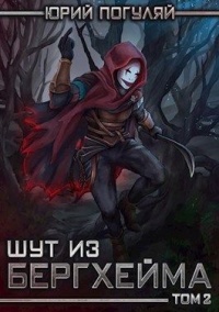 Книга Шут из Бергхейма. Книга вторая