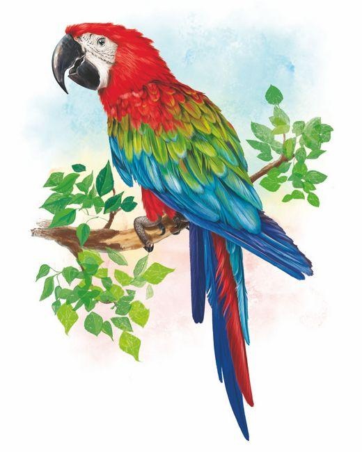 Иллюстрация к книге — Лекарство от доброзлобия [i_024.jpg]