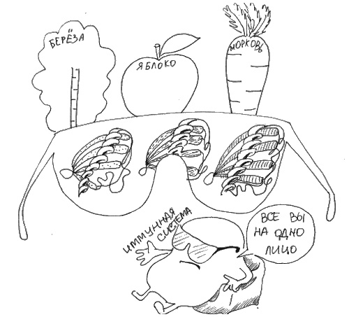 Иллюстрация к книге — Аллергия и как с ней жить. Руководство для всей семьи [i_006.jpg]