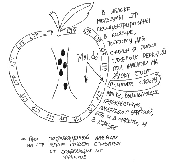 Иллюстрация к книге — Аллергия и как с ней жить. Руководство для всей семьи [i_007.jpg]