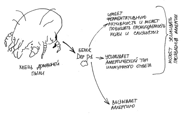 Иллюстрация к книге — Аллергия и как с ней жить. Руководство для всей семьи [i_010.jpg]