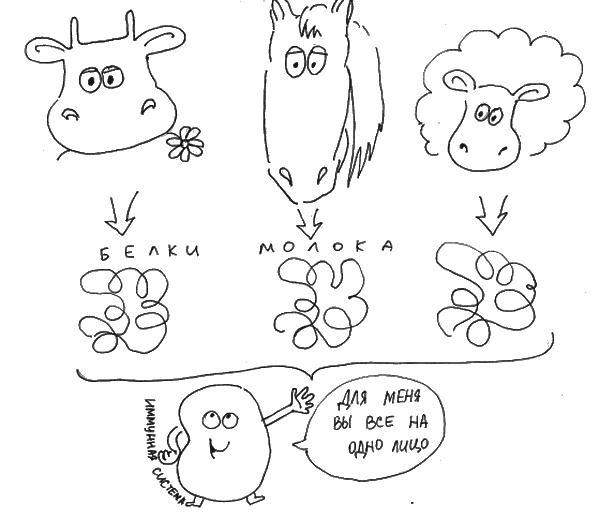 Иллюстрация к книге — Аллергия и как с ней жить. Руководство для всей семьи [i_015.jpg]