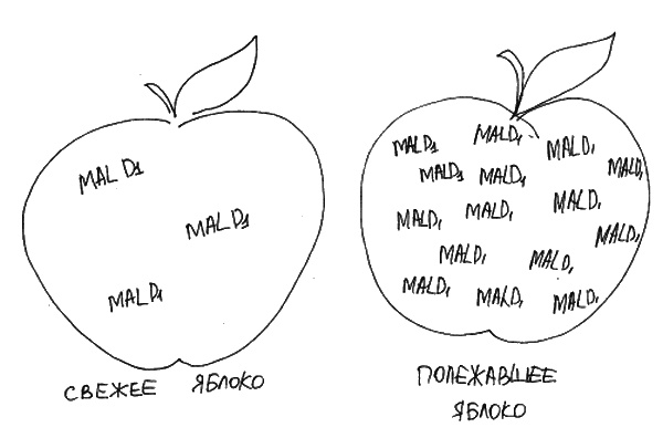 Иллюстрация к книге — Аллергия и как с ней жить. Руководство для всей семьи [i_017.jpg]