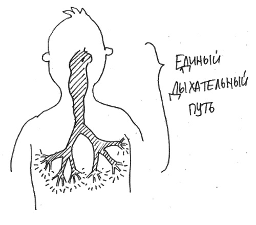 Иллюстрация к книге — Аллергия и как с ней жить. Руководство для всей семьи [i_022.jpg]