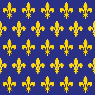 Иллюстрация к книге — История флагов. От рыцарских знамен до государственных штандартов [i_063.jpg]