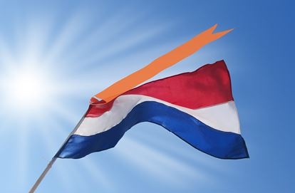 Иллюстрация к книге — История флагов. От рыцарских знамен до государственных штандартов [i_086.jpg]