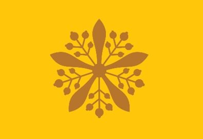 Иллюстрация к книге — История флагов. От рыцарских знамен до государственных штандартов [i_155.jpg]