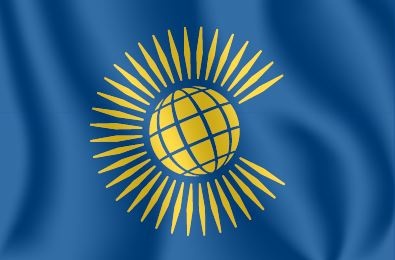 Иллюстрация к книге — История флагов. От рыцарских знамен до государственных штандартов [i_184.jpg]