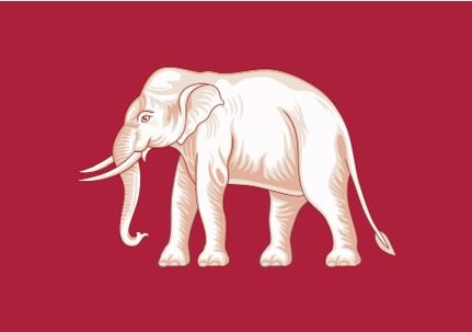 Иллюстрация к книге — История флагов. От рыцарских знамен до государственных штандартов [i_224.jpg]