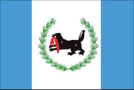 Иллюстрация к книге — История флагов. От рыцарских знамен до государственных штандартов [i_235.jpg]