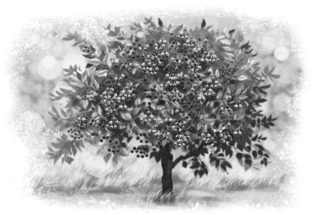 Иллюстрация к книге — Лето в Зоммербю [i_004.jpg]