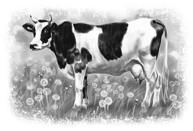 Иллюстрация к книге — Лето в Зоммербю [i_006.jpg]