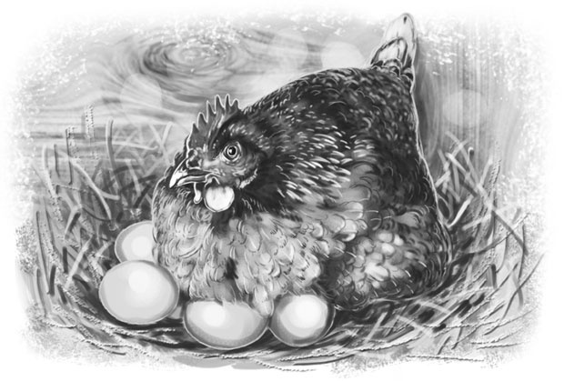 Иллюстрация к книге — Лето в Зоммербю [i_015.jpg]