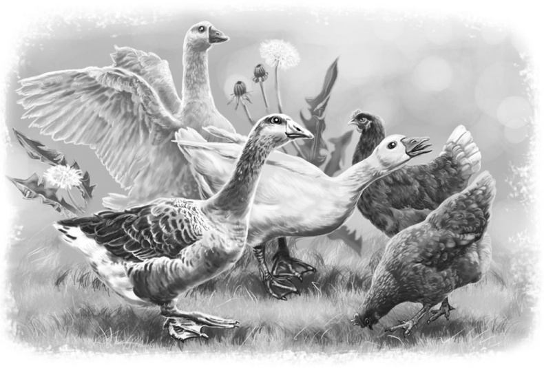 Иллюстрация к книге — Лето в Зоммербю [i_018.jpg]