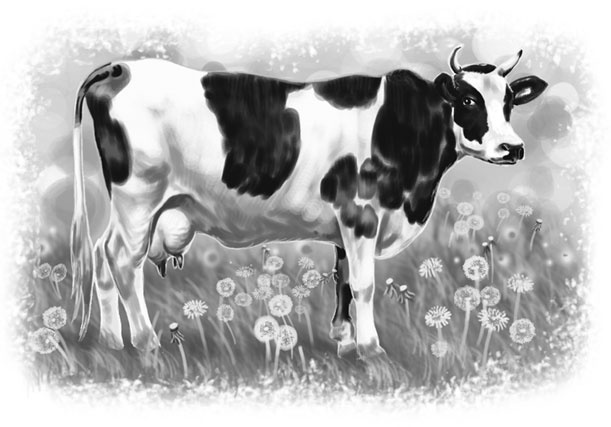 Иллюстрация к книге — Лето в Зоммербю [i_029.jpg]