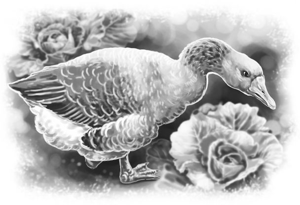 Иллюстрация к книге — Лето в Зоммербю [i_043.jpg]