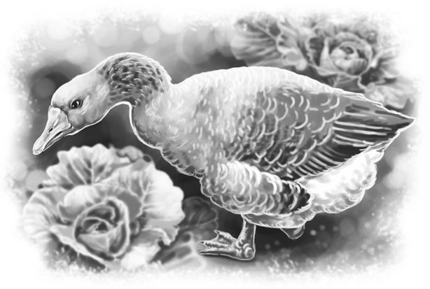 Иллюстрация к книге — Лето в Зоммербю [i_064.jpg]