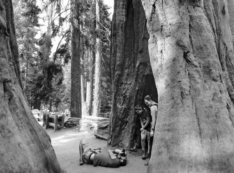 Иллюстрация к книге — Непарадная Америка [i_004.jpg]