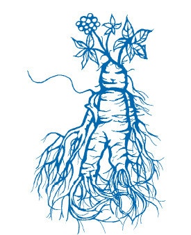 Иллюстрация к книге — Когда море стало серебряным [i_016.jpg]