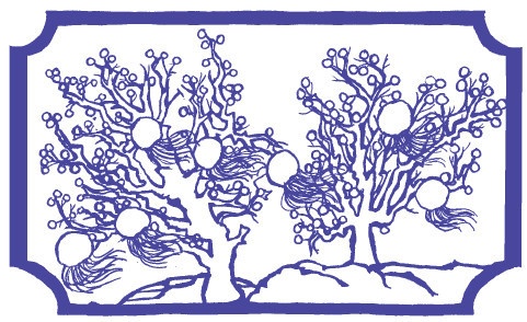 Иллюстрация к книге — Когда море стало серебряным [i_087.jpg]