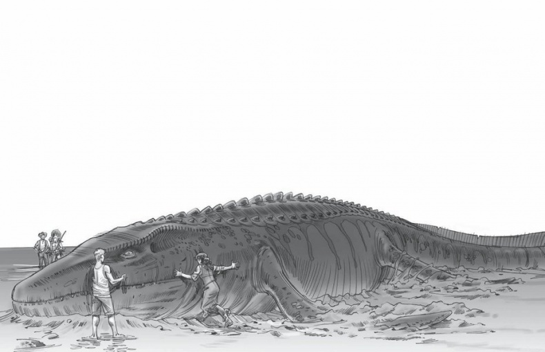 Иллюстрация к книге — Сокровище последнего самурая [i_015.jpg]