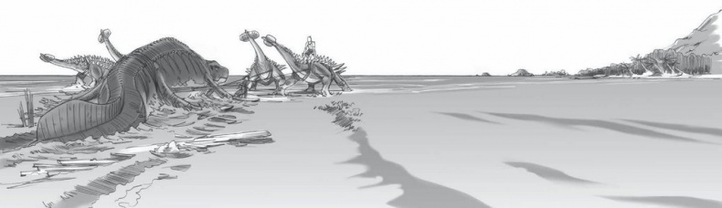 Иллюстрация к книге — Сокровище последнего самурая [i_016.jpg]