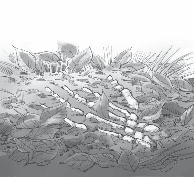 Иллюстрация к книге — Сокровище последнего самурая [i_019.jpg]