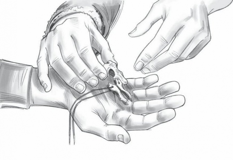 Иллюстрация к книге — Сокровище последнего самурая [i_063.jpg]