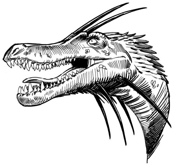 Иллюстрация к книге — Сокровище последнего самурая [i_076.jpg]