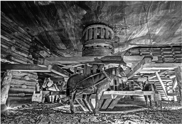 Иллюстрация к книге — «Принц» и «цареубийца». История Павла Строганова и Жильбера Ромма [i_043.jpg]