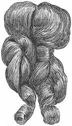 Иллюстрация к книге — Как приготовить кролика, спасти душу и найти любовника [i_021.jpg]