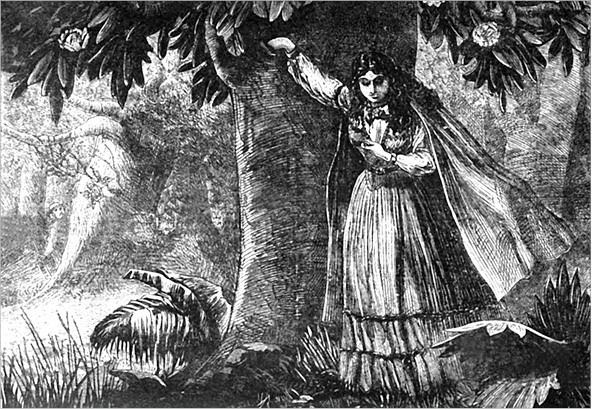 Иллюстрация к книге — Смертельный выстрел [i_006.jpg]